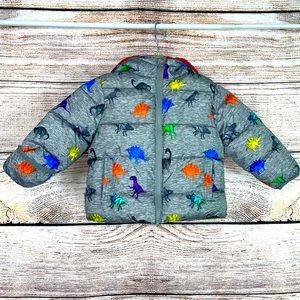 Swiss Tech Dinosaur 🦕 Jacket